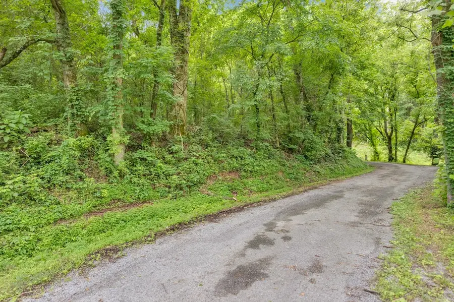 00 Hurricane Branch Ln, Gainesboro, TN 38562 - #2