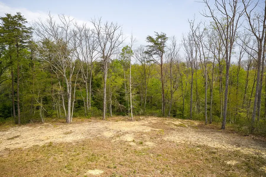 117 Fox Run Ct, Monterey, TN 38574 - #3