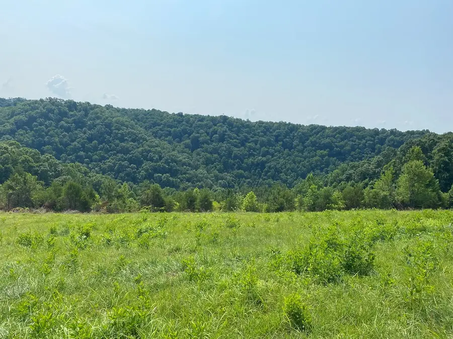 Lot 11 H O Allison, Baxter, TN 38544 - #3