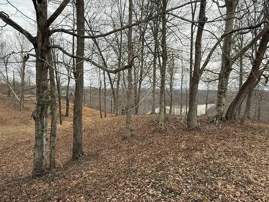 Lot 7 Amonett Circle, Byrdstown, TN 38549 - #3