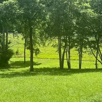 5740 South York Highway, Clarkrange, TN 38553 - #3