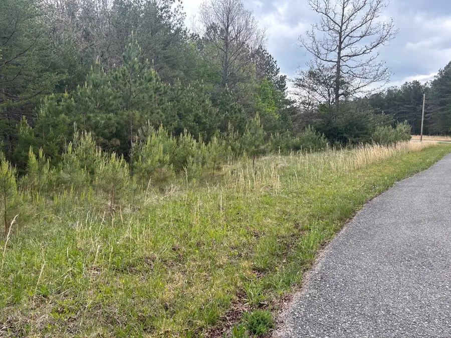 Lot 53 Pioneer Lane, Spencer, TN 38585 - #2