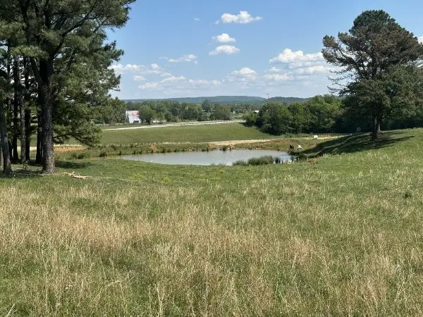 0 Charles Golden Rd, Sparta, TN 38583 - #2