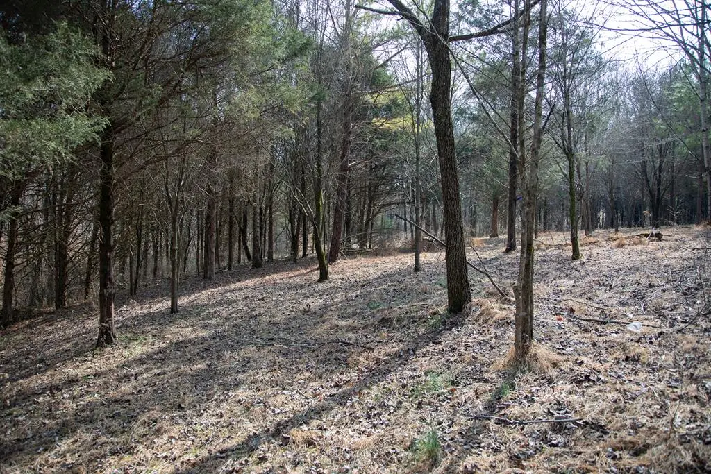5.40 Ac. Tulip Ln, Cookeville, TN 38501 - #1