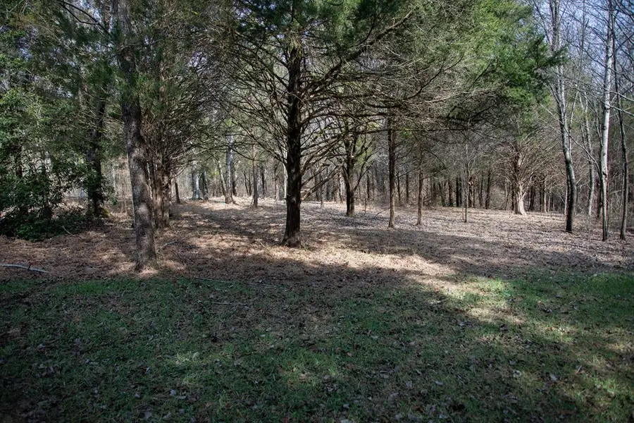 5.40 Ac. Tulip Ln, Cookeville, TN 38501 - #3