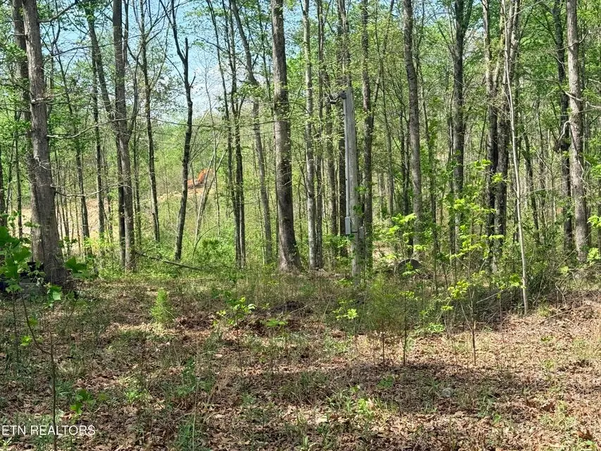 238 Joe Barnett Rd, Jamestown, TN 38556-5901 - #3