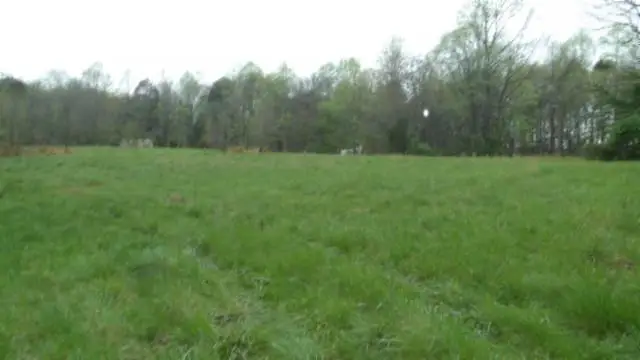 20.27ac Denton Rd, Moss, TN 38575 - #1