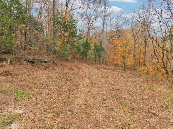 0 Ensor Hollow Rd, BUFFALO VALLEY, TN 38548