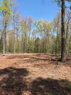 731 Remington Rd, Jamestown, TN 38556