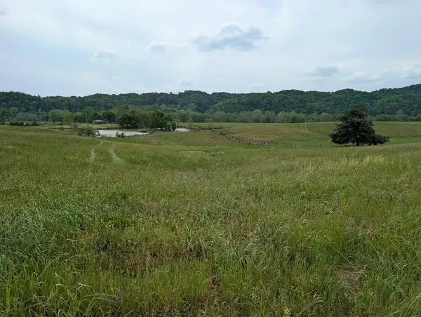 10 Rivertown Rd, BURKESVILLE, KY 4271