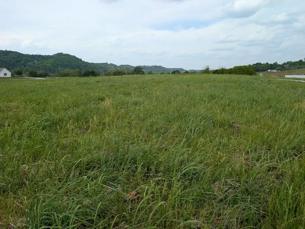 12 Rivertown Rd, Burkesville, KY 42717 - #1