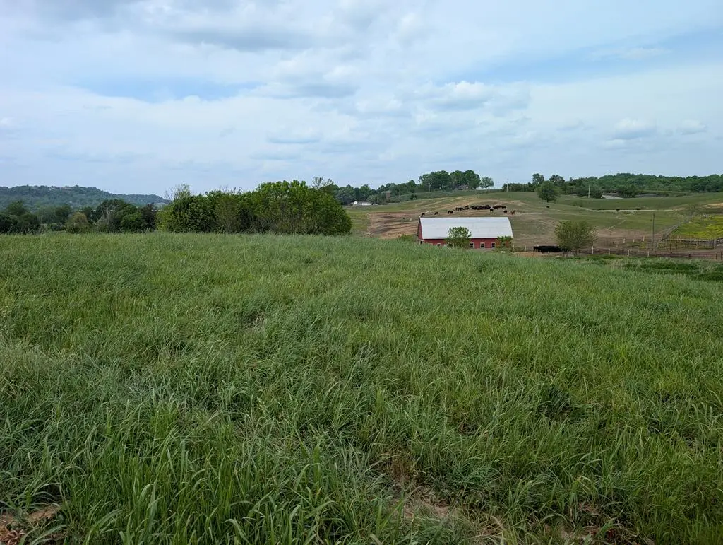 14 Rivertown Rd, Burkesville, KY 42717 - #1