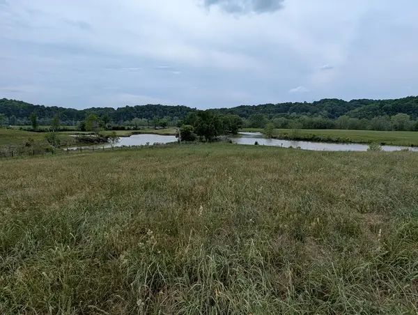 19 Rivertown Rd, BURKESVILLE, KY 42717