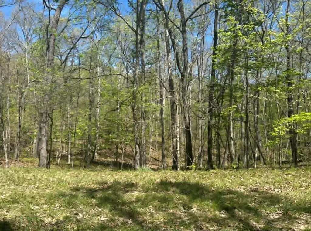 - Darwin Ln., Lot #120, Crossville, TN 38558 - #1