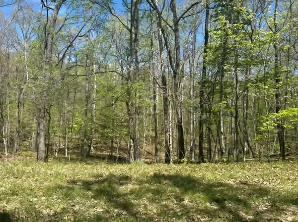 - Darwin Ln., Lot #120, CROSSVILLE, TN 38558