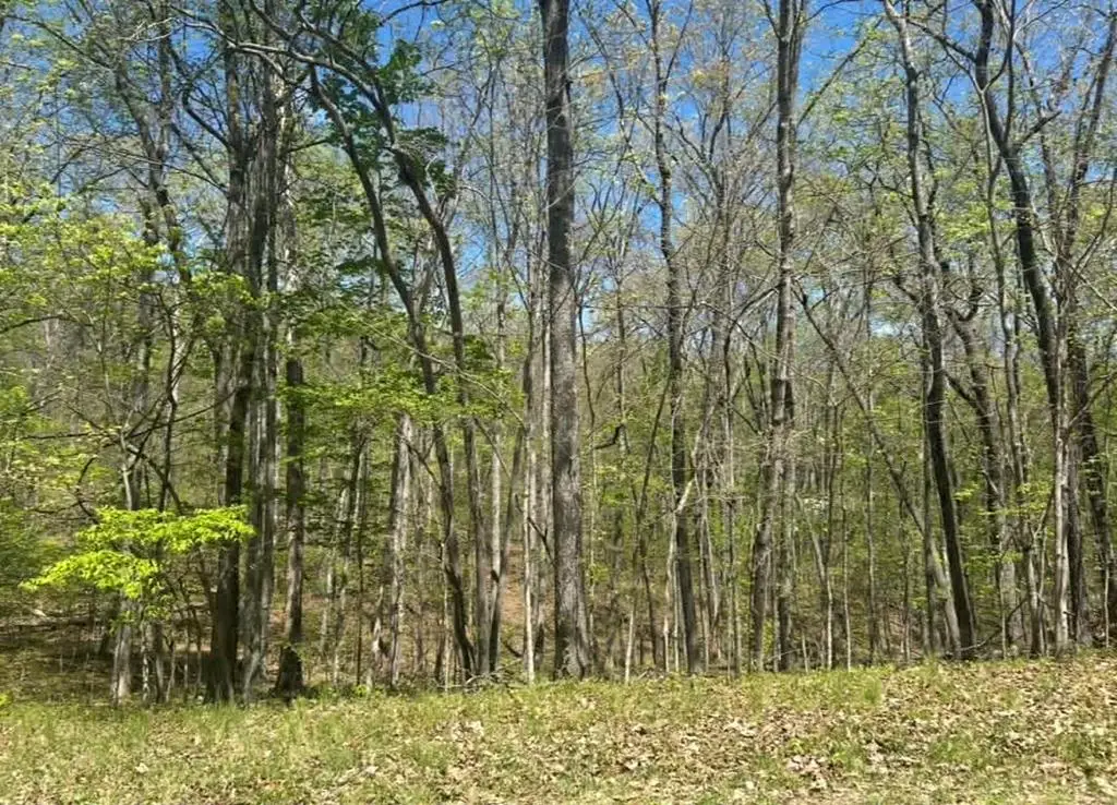 - Dublin Ln Lot #112, Crossville, TN 38558 - #1