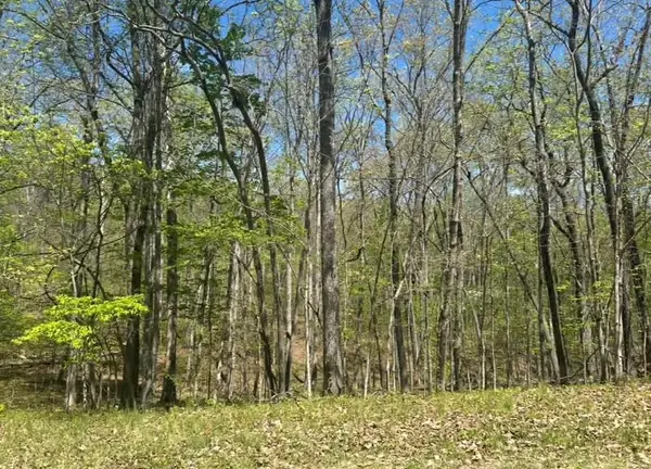 - Dublin Ln Lot #112, CROSSVILLE, TN 38558
