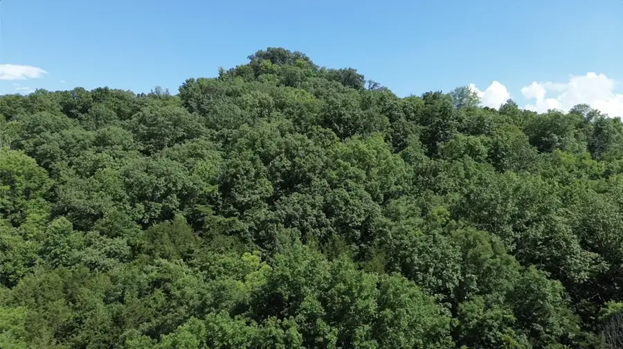 0 Hackett Hollow Ln Lot 1, Pleasant Shade, TN 37145 - #3