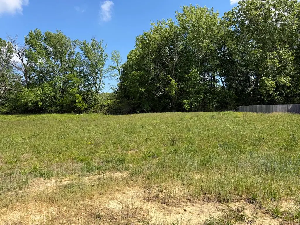 141 Reece Rd Lot 107, Baxter, TN 38544 - #1