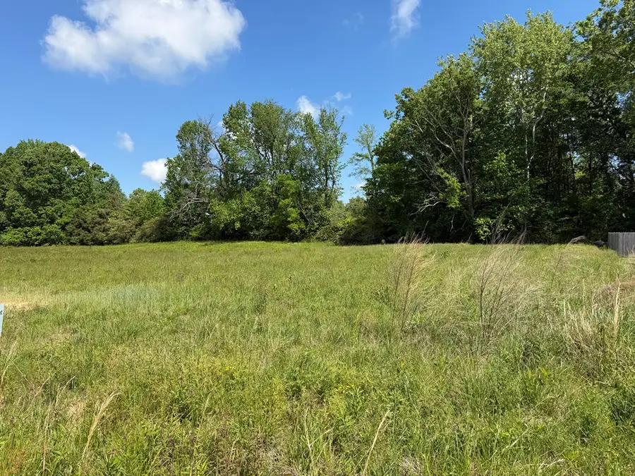 141 Reece Rd Lot 107, Baxter, TN 38544 - #3