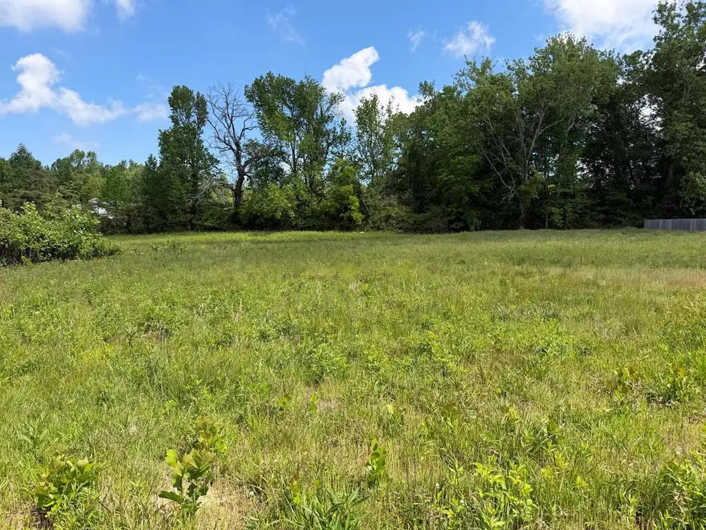 155 Reece Rd Lot 106, Baxter, TN 38544 - #1