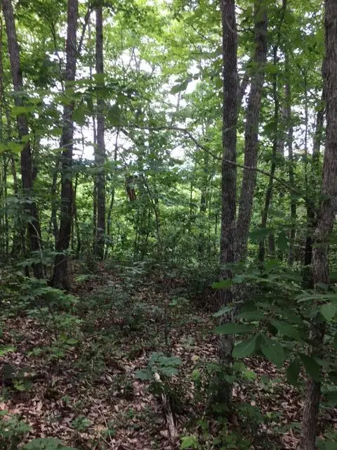 285 Purple Iris, Wilder, TN 38589 - #3