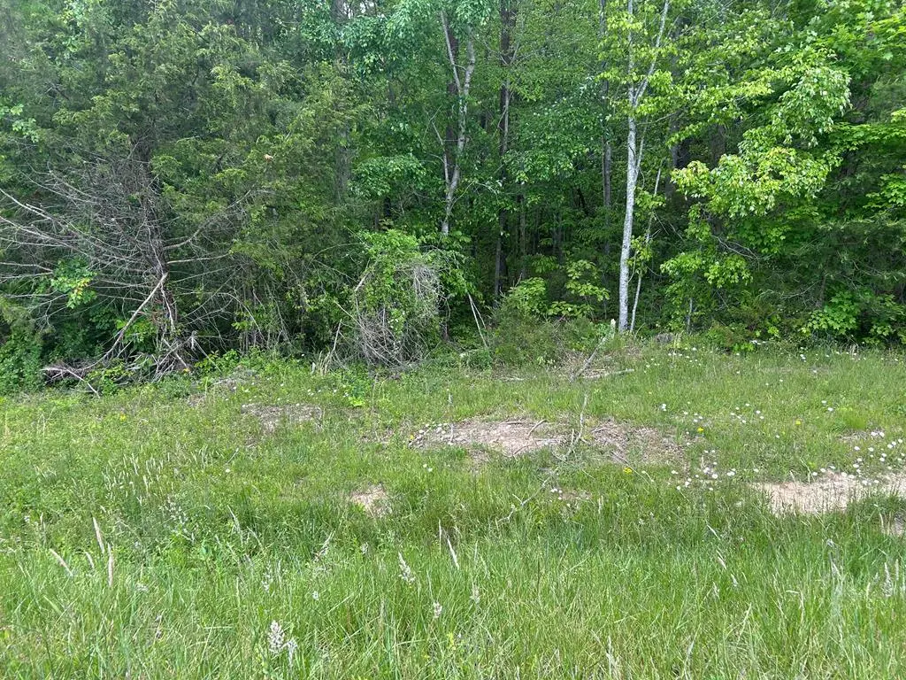 RT Davis 0, Spencer, TN 38585-5418 - #1