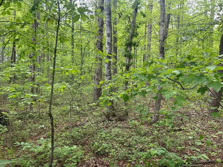 RT Davis 0, Spencer, TN 38585-5418 - #2