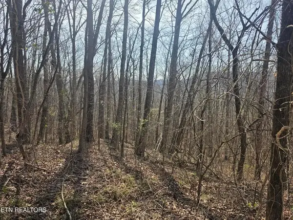 0 Glenoby Rd, Jamestown, TN 38556