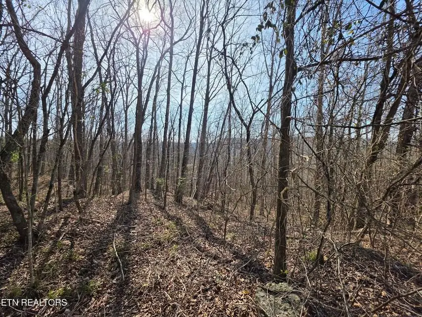0 Glenoby Rd, Jamestown, TN 38556 - #2