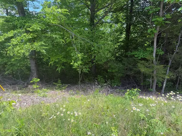 50.82 ac Buzzard Roost Rd, Jamestown, TN 38556