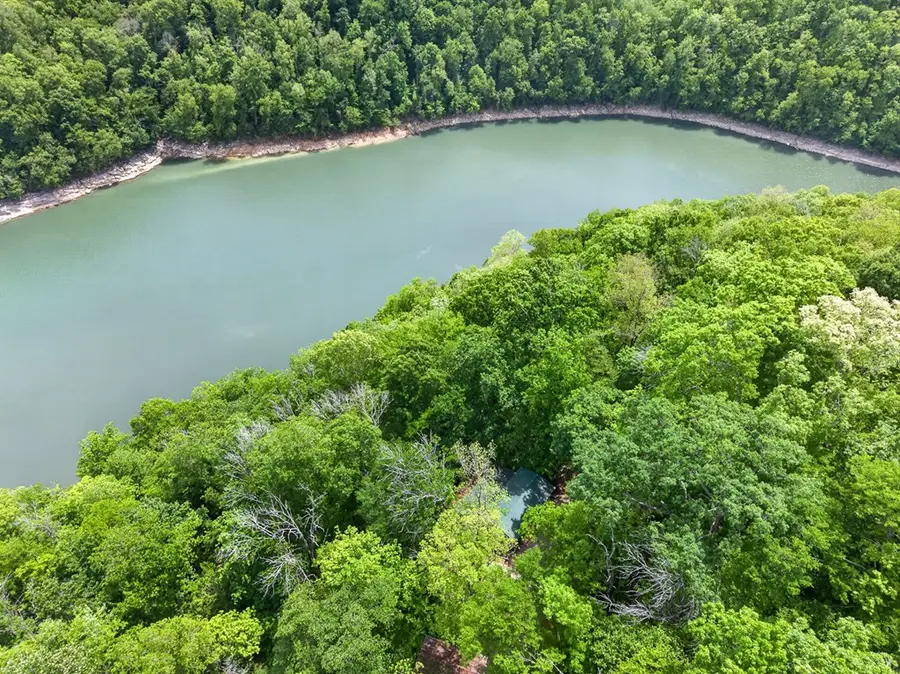 8045 Sarah Thomas Road, Silver Point, TN 38582 - #2