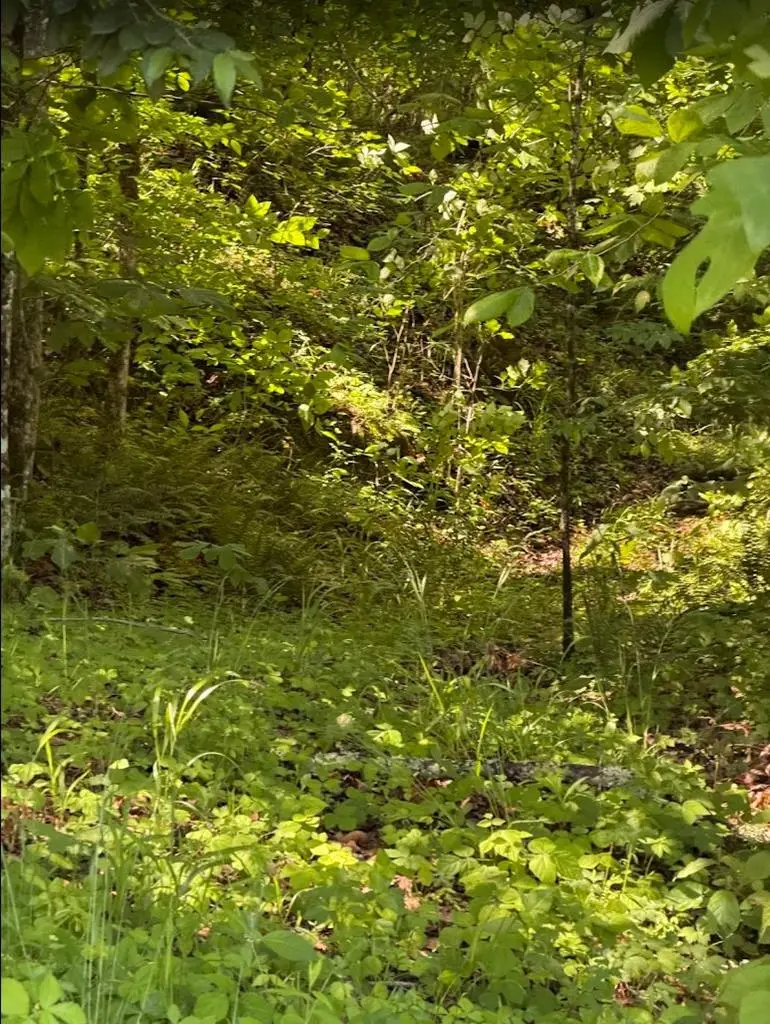 0 Spring Creek Road, Cookeville, TN 38501 - #1