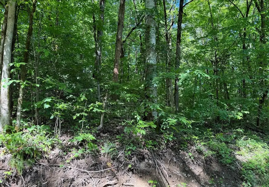 0 Spring Creek Road, Cookeville, TN 38501 - #3