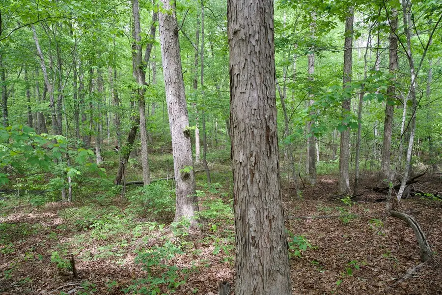 1.1AC Hillis Cemetery Rd, Spencer, TN 38585 - #2