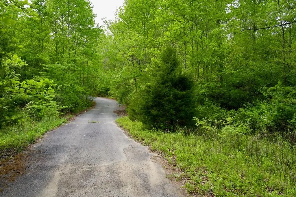 1.4AC Creek Side Lane, Spencer, TN 38585 - #1