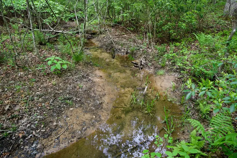 1.4AC Creek Side Lane, Spencer, TN 38585 - #3