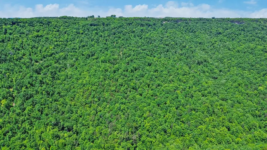 n/a Junaluska Dr, Jamestown, TN 38556 - #3