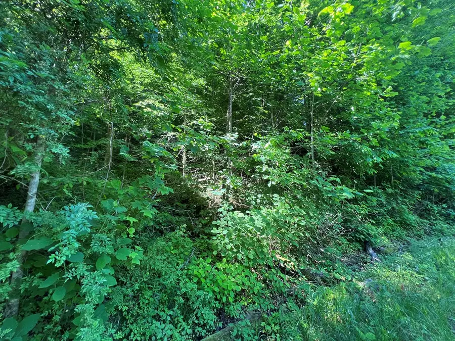 Lot 8 Apache Rd, Jamestown, TN 38556 - #2