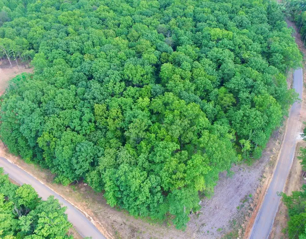 Lot 109 Bakers Terrace, Spencer, TN 38585 - #1