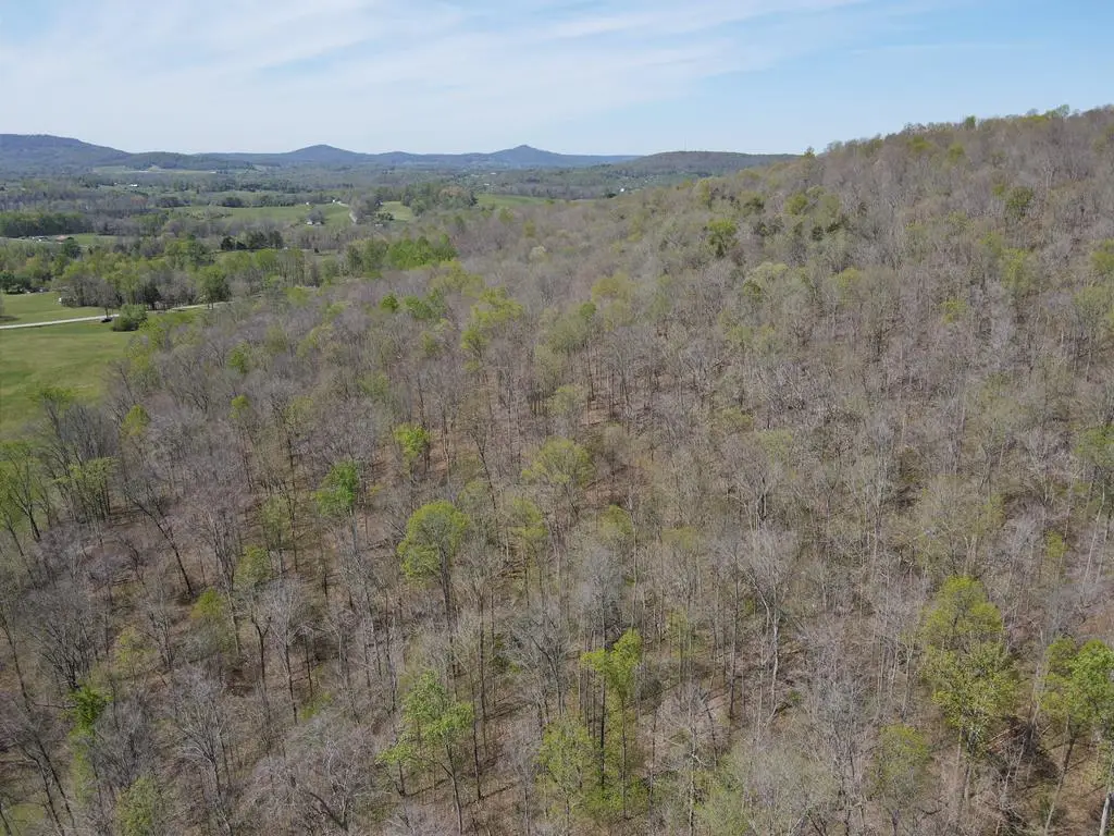 00 N York Hwy, Pall Mall, TN 38577 - #1