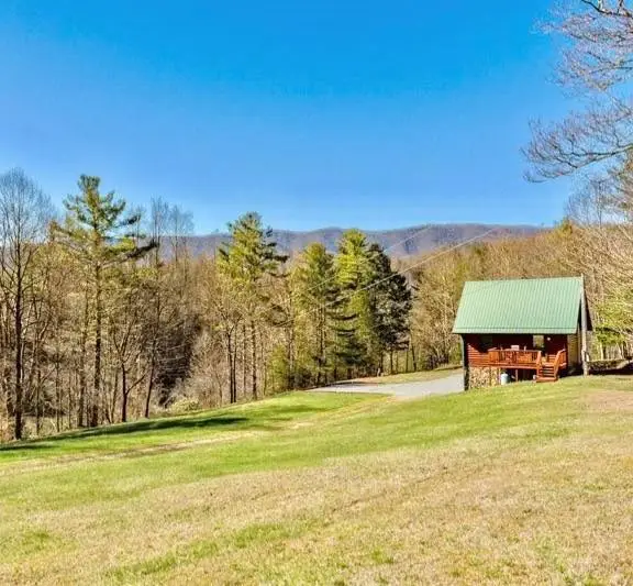423 Pandora Fork Ln, Butler, TN 37640 - #3