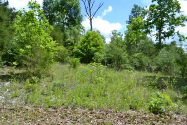 31.22ac Beauchamp Rd, Burkesville, KY 42717 - #1