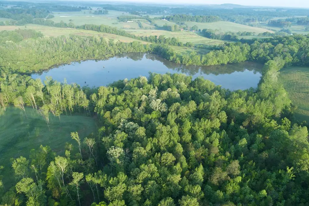 53AC Hankins Rd, Rock Island, TN 38581 - #1