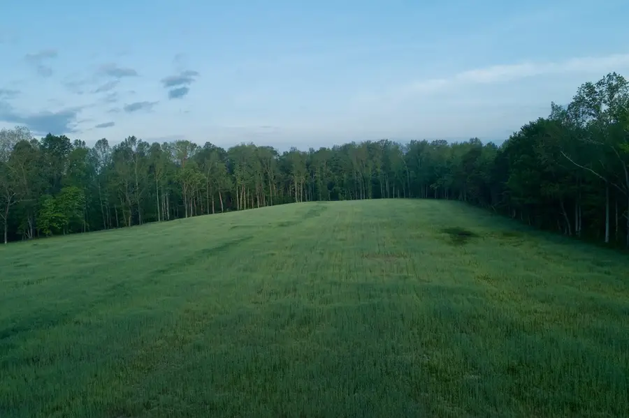 53AC Hankins Rd, Rock Island, TN 38581 - #3