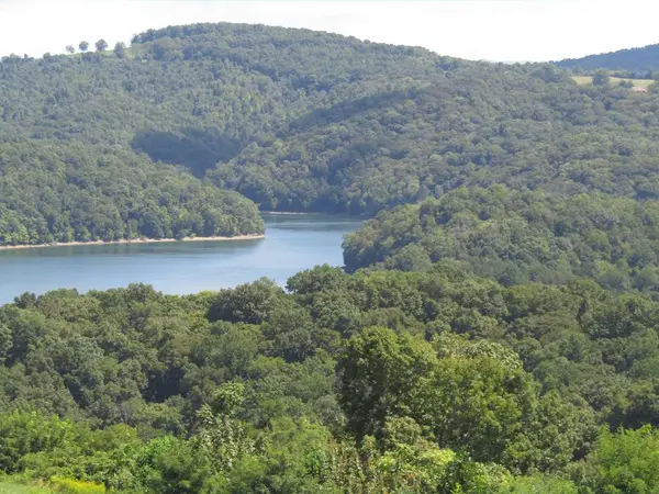 48 E. Swan Ridge Rd, Hilham, TN 38568