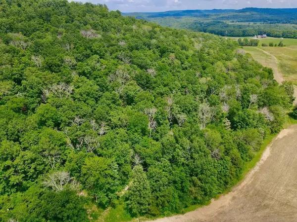 0 Thorn Gap Road, COOKEVILLE, TN 38506