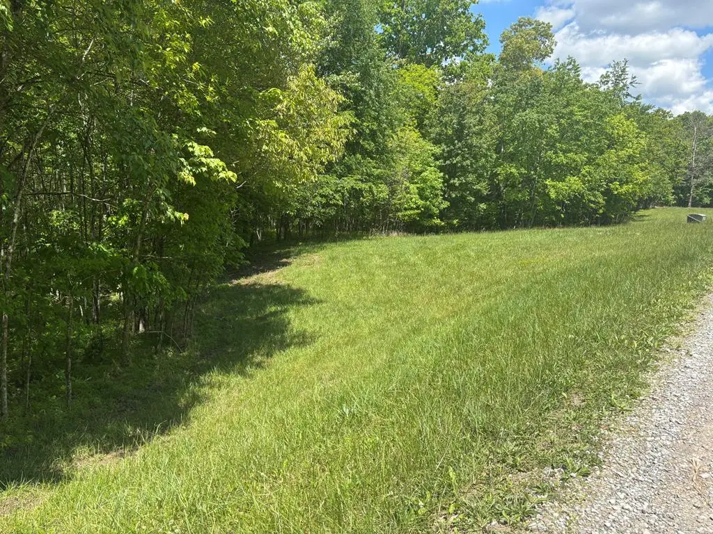 6.8 ACRE Saddle Lane, Spencer, TN 38585 - #1