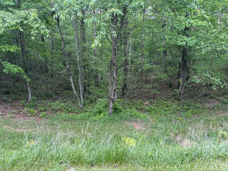 6.8 ACRE Saddle Lane, Spencer, TN 38585 - #2