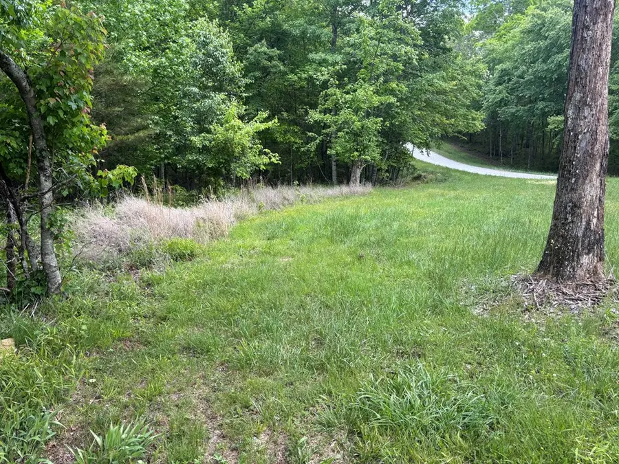 6.8 ACRE Saddle Lane, Spencer, TN 38585 - #3